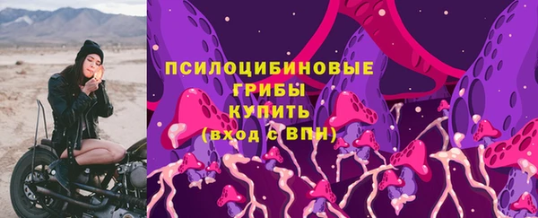 Альфа ПВП Кукмор
