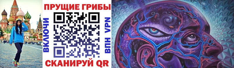 Псилоцибиновые грибы Cubensis  закладка  Ачинск 
