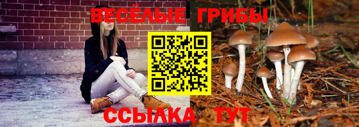 Галлюциногенные грибы GOLDEN TEACHER Ачинск